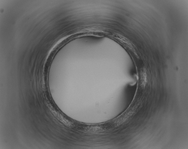 X0000077290784200611031549