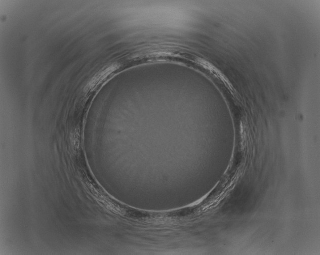 X0000077290785200611031549