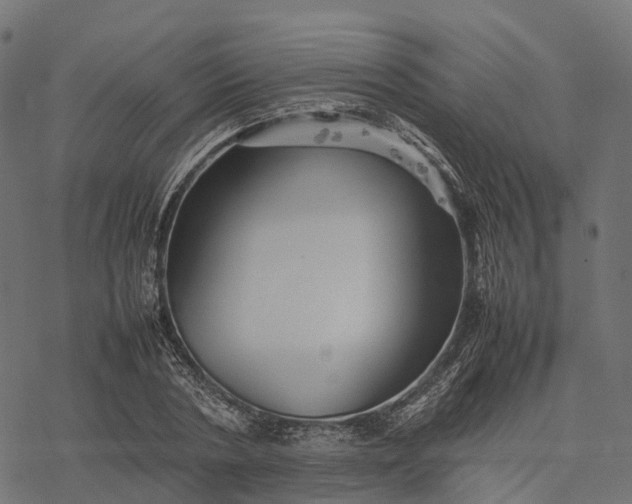 X0000077290786200611031549