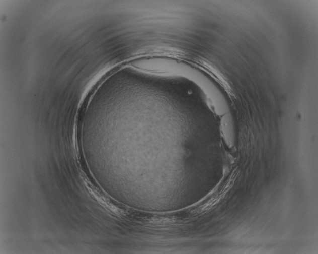 X0000077290788200611031549