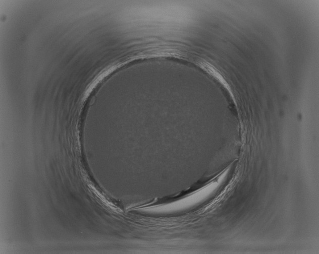 X0000077290789200611031549