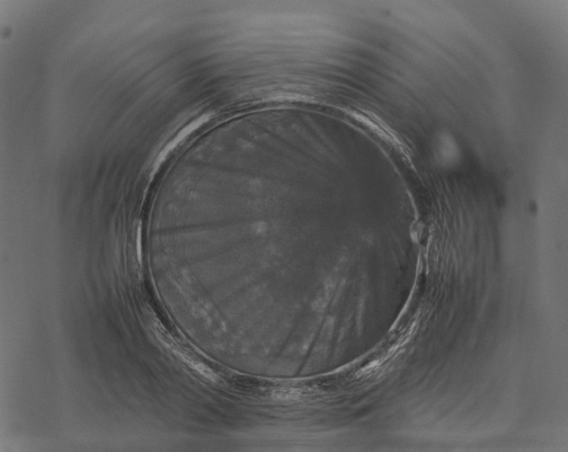 X0000077290790200611031549