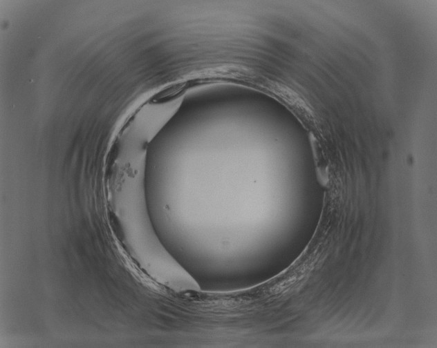 X0000077290792200611031549