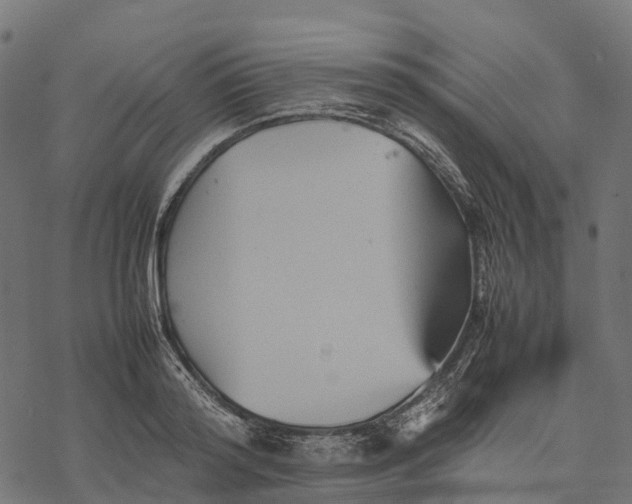 X0000077290796200611031549