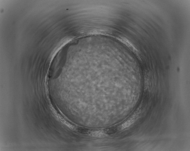 X0000077290798200611031549