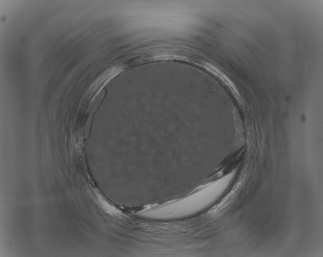 X0000077290801200611031549