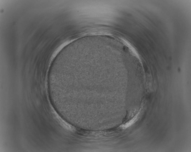 X0000077290803200611031549