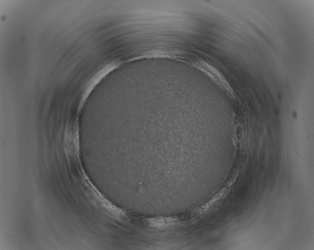 X0000077290804200611031549