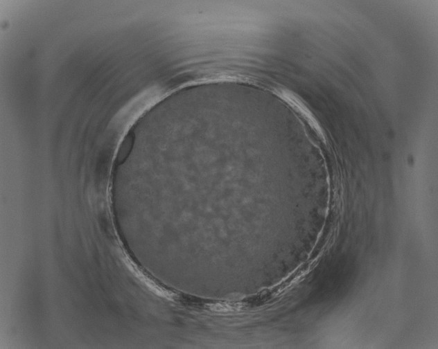 X0000077290805200611031549