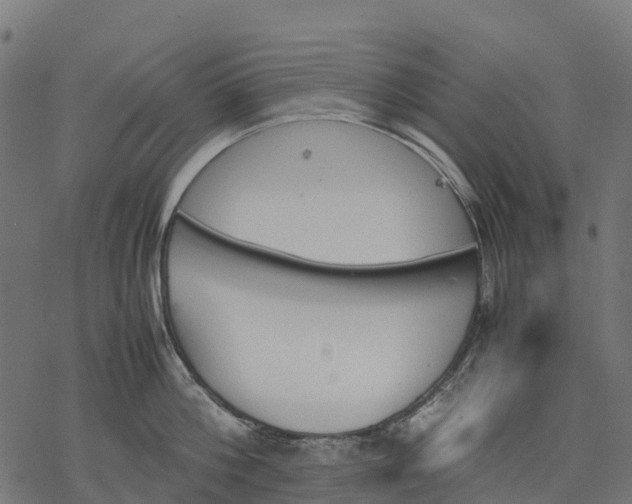 X0000077290812200611031549