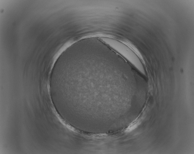 X0000077290813200611031549