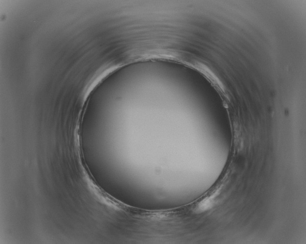 X0000077290814200611031549