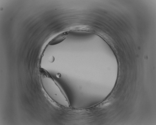 X0000077290816200611031549