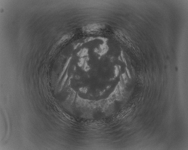 X0000077290817200611031548