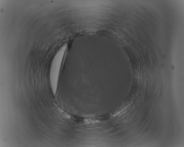 X0000077290818200611031548