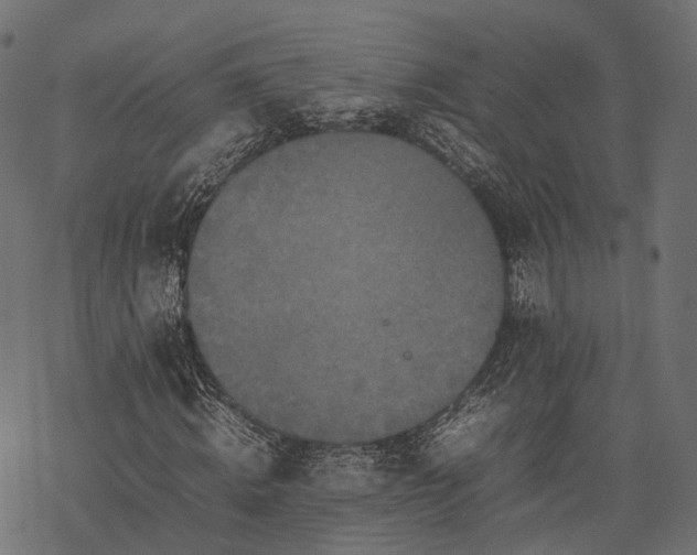 X0000077290820200611031548