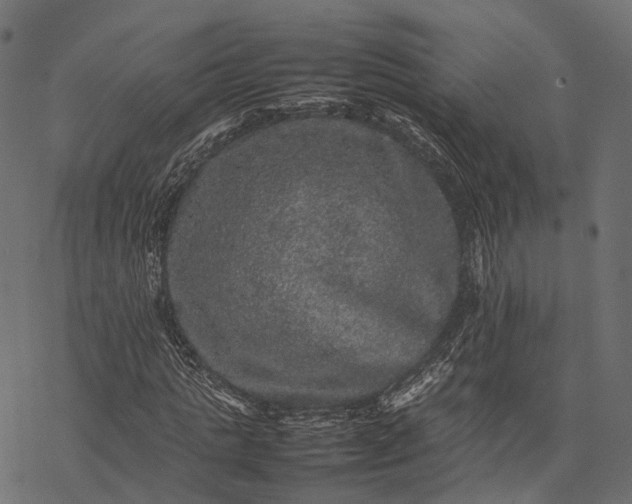 X0000077290821200611031548