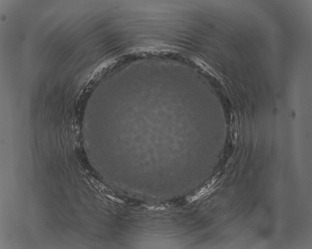 X0000077290822200611031548