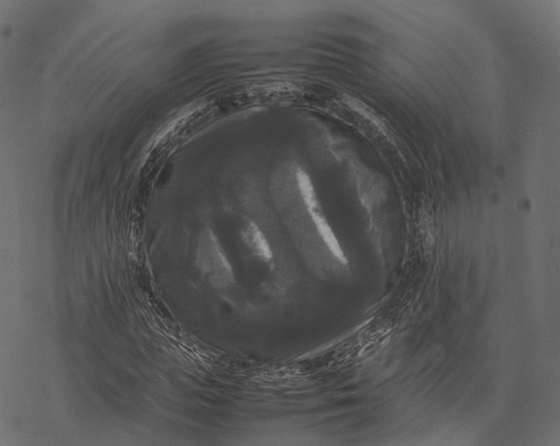 X0000077290823200611031548