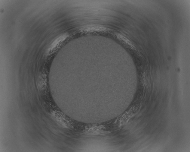 X0000077290824200611031548