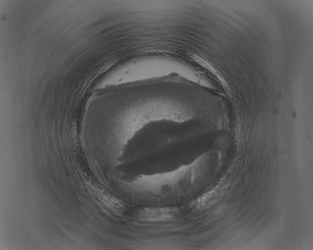 X0000077290825200611031548