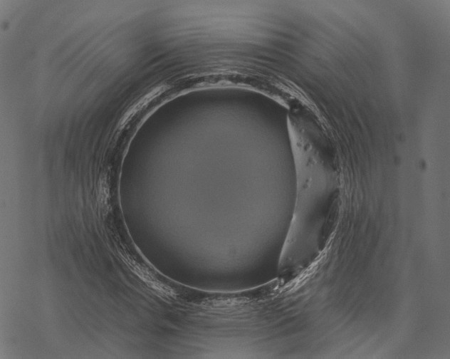 X0000077290826200611031548