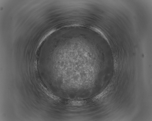 X0000077290827200611031548