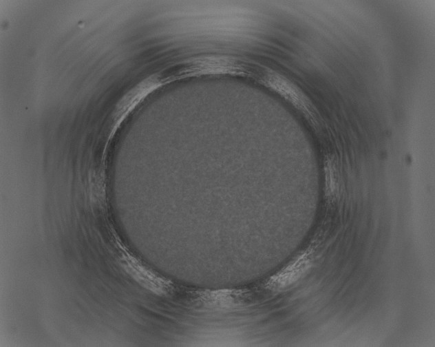 X0000077290828200611031548