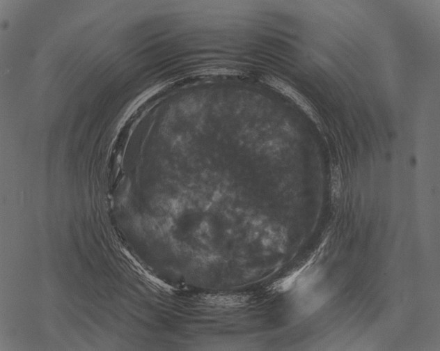 X0000077290829200611031548