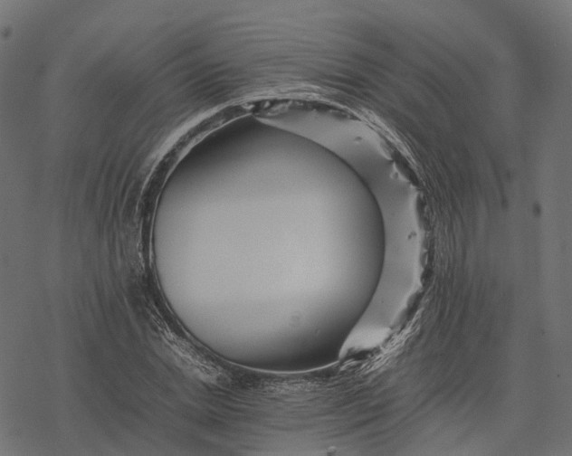 X0000077290830200611031548