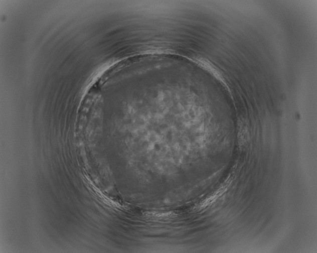 X0000077290831200611031548