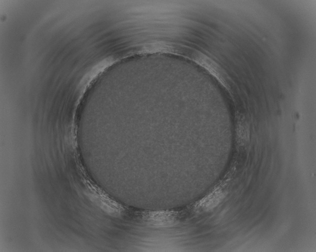 X0000077290832200611031548