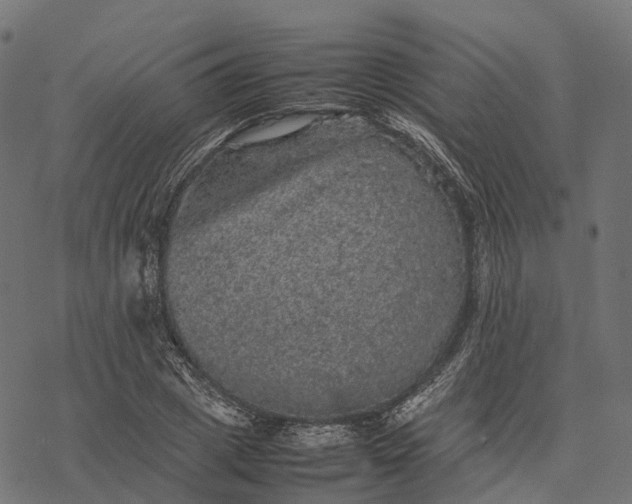 X0000077290833200611031548