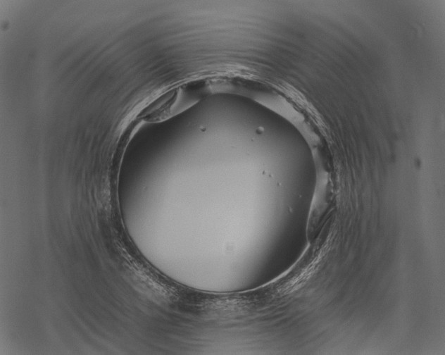 X0000077290834200611031548