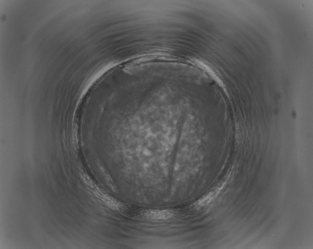 X0000077290835200611031548