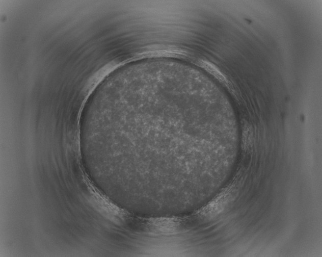 X0000077290836200611031548