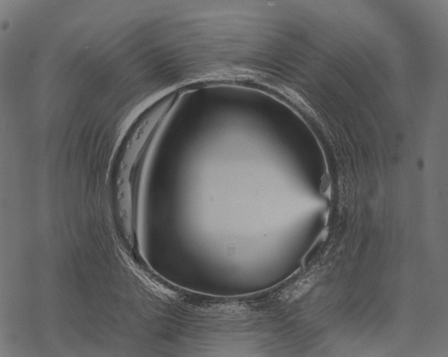 X0000077290838200611031548