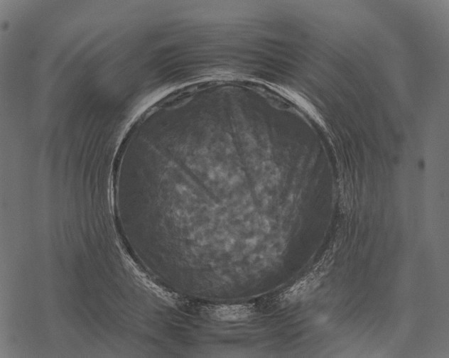 X0000077290839200611031548