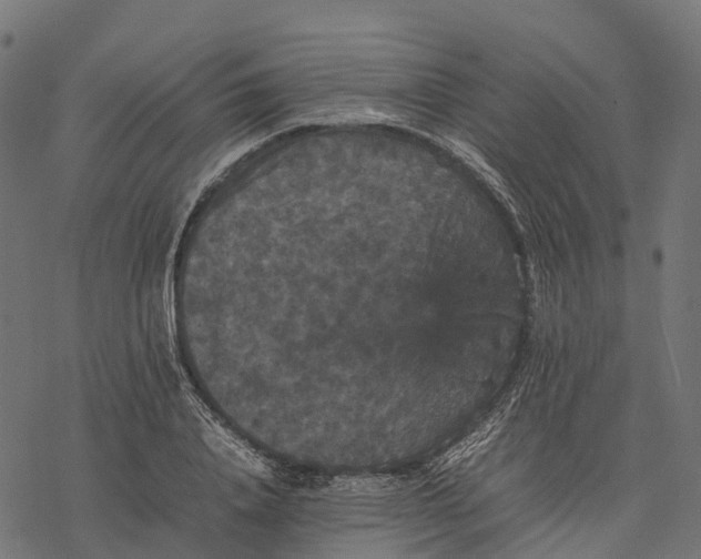 X0000077290840200611031548