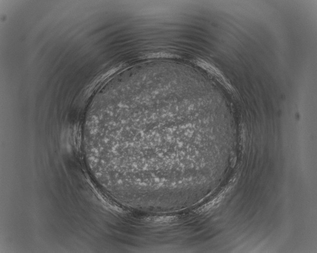 X0000077290841200611031548