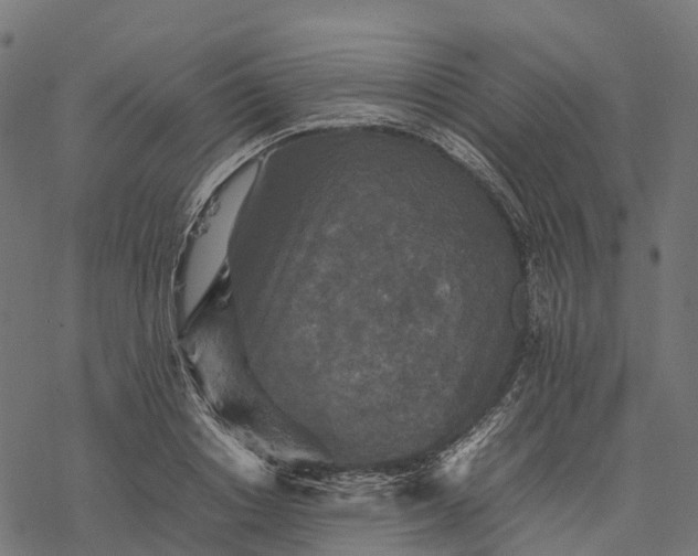 X0000077290842200611031548