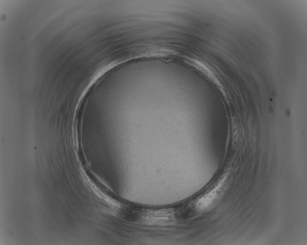 X0000077290843200611031548