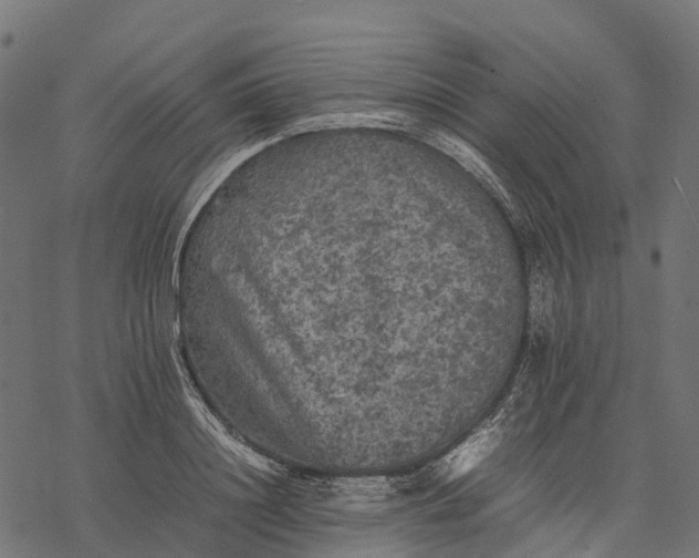 X0000077290844200611031548