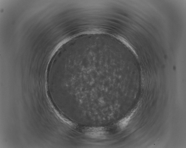 X0000077290845200611031548