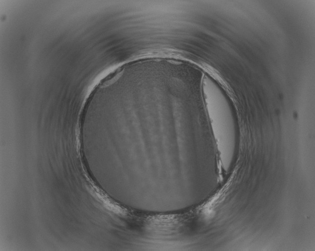 X0000077290846200611031548