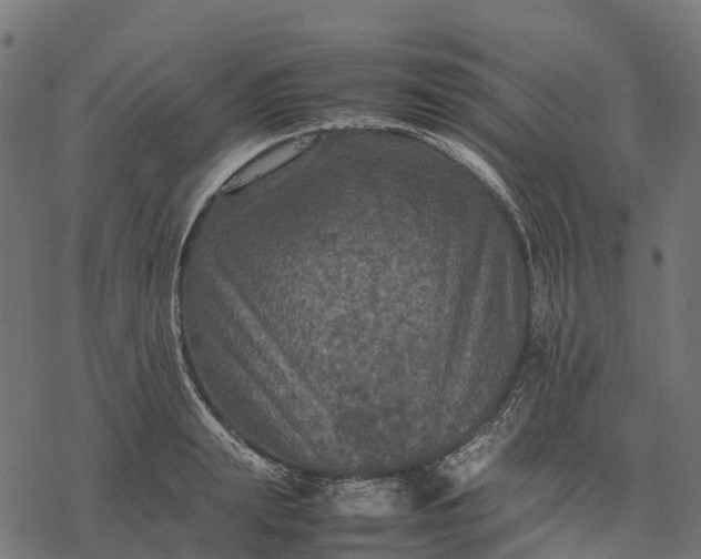 X0000077290847200611031548