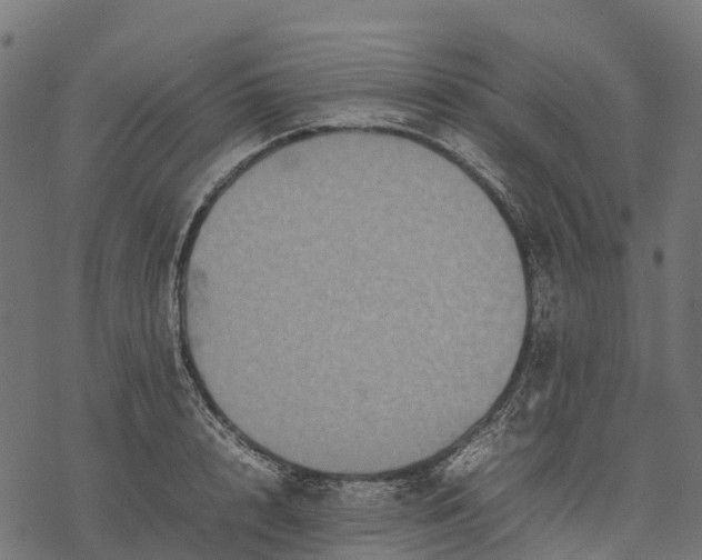 X0000077290848200611031548