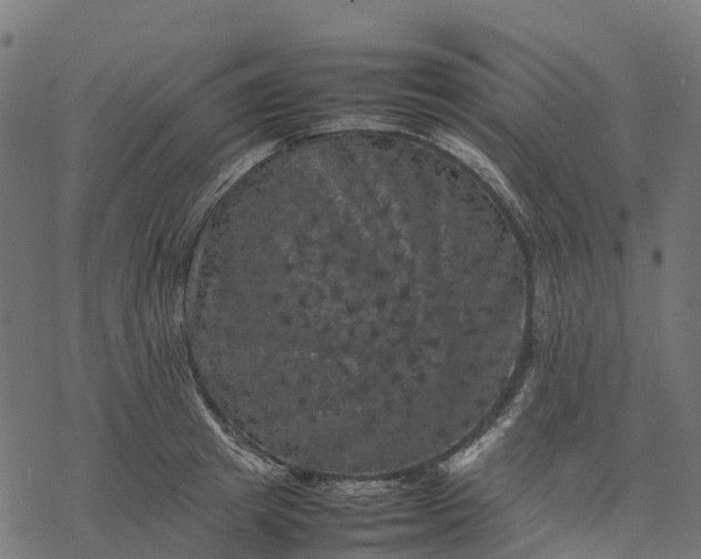 X0000077290849200611031548