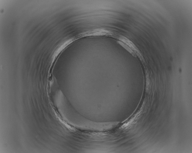 X0000077290850200611031548