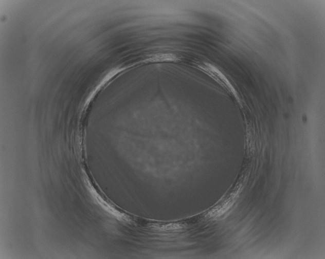 X0000077290851200611031548